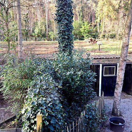 Comfortable Chalet In A Unique Location In Forest Essen 外观 照片