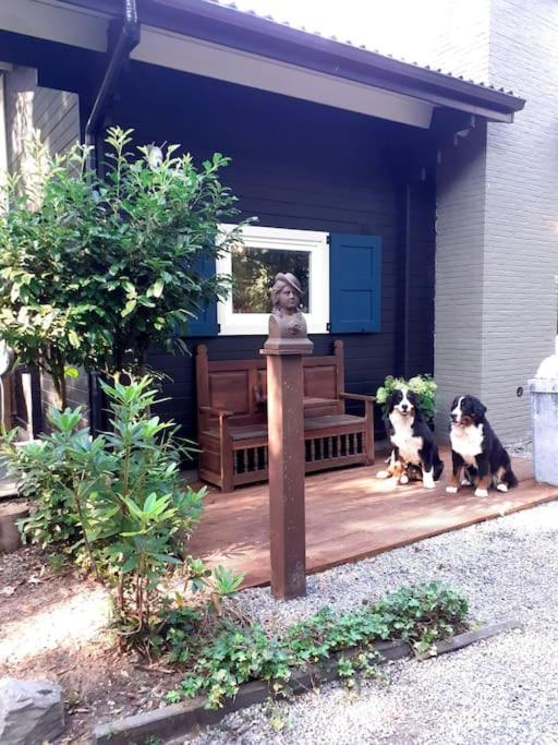 Comfortable Chalet In A Unique Location In Forest Essen 外观 照片