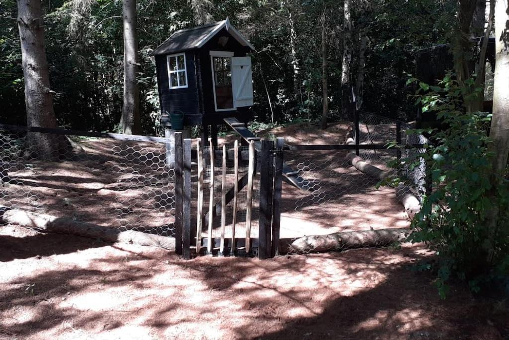Comfortable Chalet In A Unique Location In Forest Essen 外观 照片
